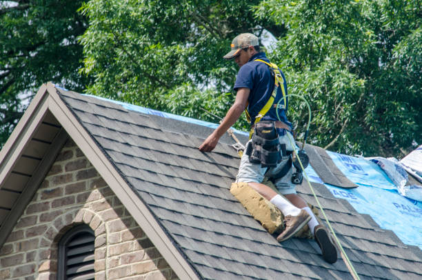 Best Storm Damage Roof Repair  in Essex Junction, VT